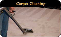 carpet cleaning