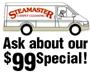 Lapeer Steam Cleaning  Professional Carpet Cleaning, Upholstery Cleaning,  Tile & Grout Cleaning, Window Cleaning and Water Damage Restoration in  Lapeer and Surrounding Counties, Michigan.