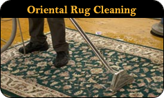 oriental rug cleaning